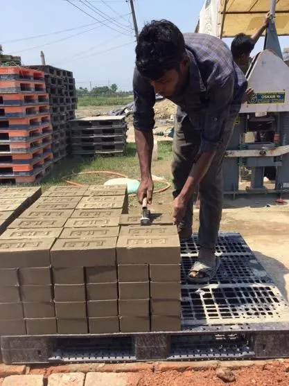 Pressed blocks set out for curing.
